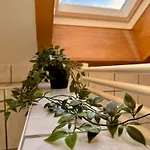 Apartmán Helle Im Schwarzwald - 2 Schlafzimmer - Ruhig & Zentral *