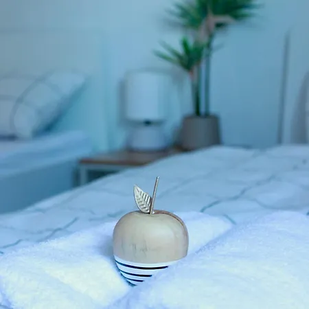 Helle Im Schwarzwald - 2 Schlafzimmer - Wlan - Holzapfel Apartamento *
