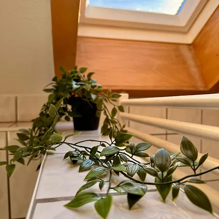 Apartamento Helle Im Schwarzwald - 2 Schlafzimmer - Wlan - Holzapfel *