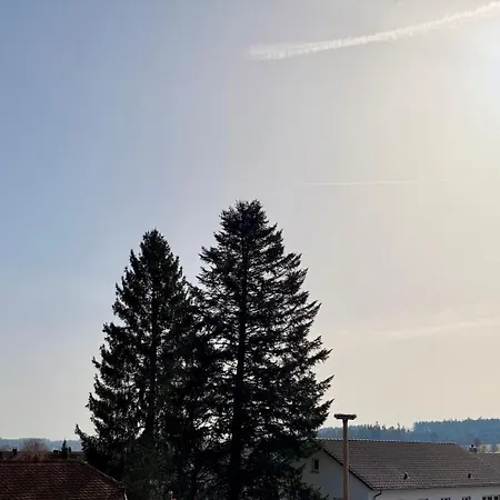 Apartamento Helle Im Schwarzwald - 2 Schlafzimmer - Wlan - Holzapfel Villingen-Schwenningen